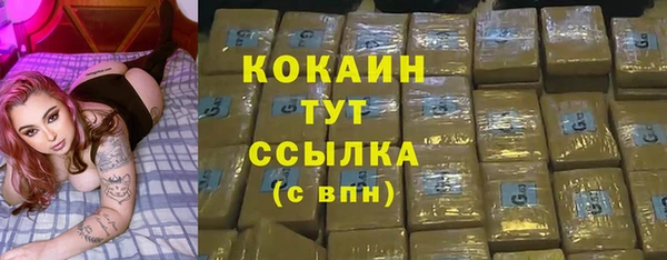дмт Арсеньев